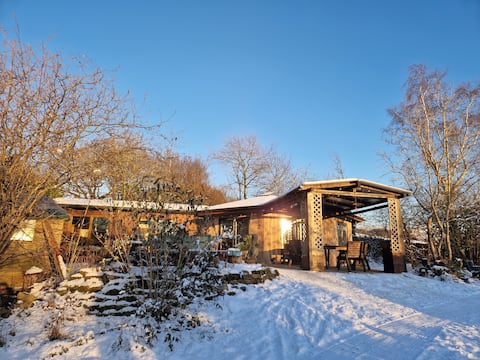 The Octagon, Wooden Chalet in Beautiful Woodland