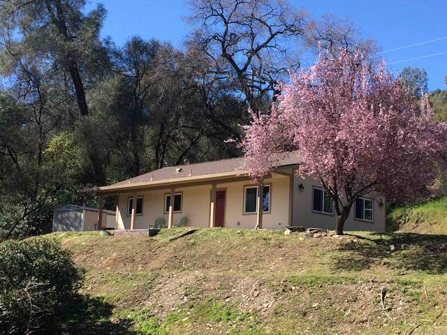 Airbnb Jamestown Vacation Rentals Places To Stay