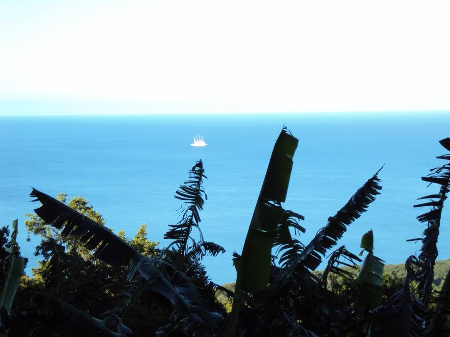 vue sur mer