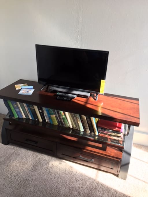 40 inch Smart TV with broadcast and streaming. Netflix etc. Library, DVD Player.