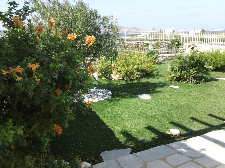 Secure fenced garden