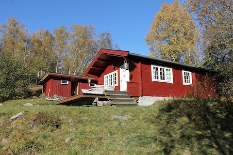 Top performing Airbnb: Cabin at Fjellsetra in Sykkylven