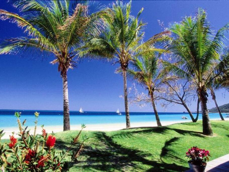 Tangalooma Hilltop Studio and full resort usage - Islands for Rent in
