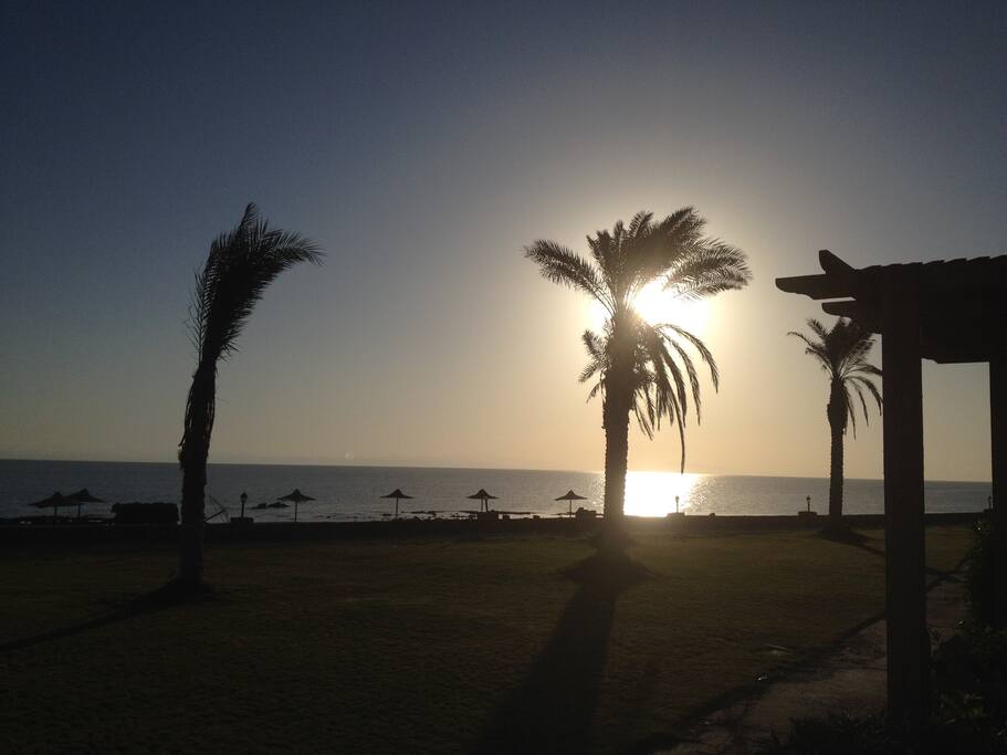 Real View For The Sunrise :)