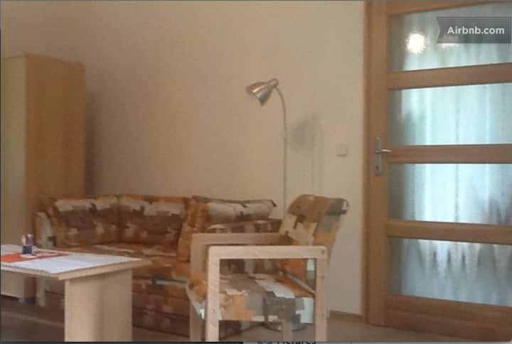 Apt In Forest, 1st Floor. Ground/lower Floor. - Písek