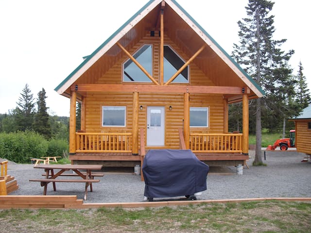 Airbnb Kasilof Vacation Rentals Places To Stay Alaska