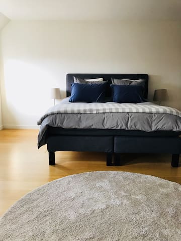 Den Haag City Center Oasis