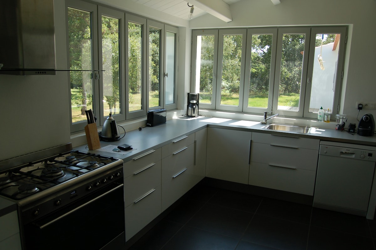 A modern kitchen is equipped with a gas stove, stainless steel appliances, and ample countertop space. Multiple windows allow natural light to illuminate the area, providing views of the surrounding greenery. A coffee maker and kitchen essentials are present for convenience.