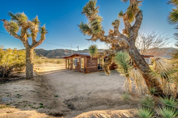 J.T. House Beautiful Views @ Joshua Tree Park.