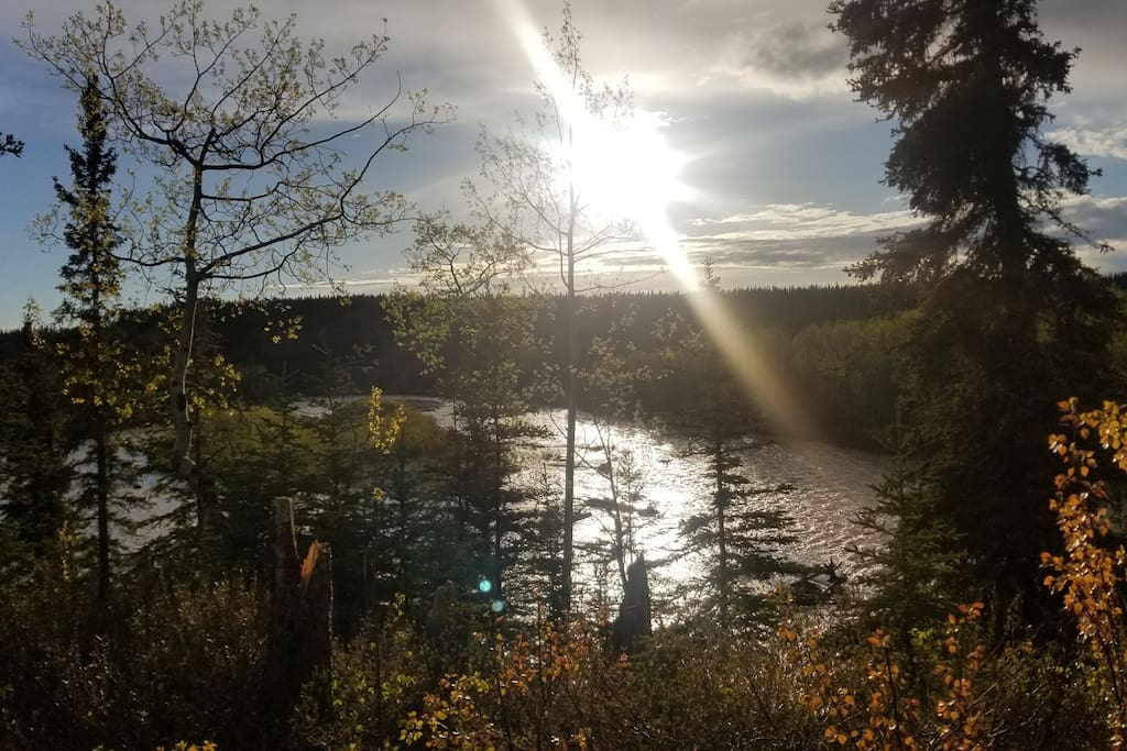 View from Cabin Porch