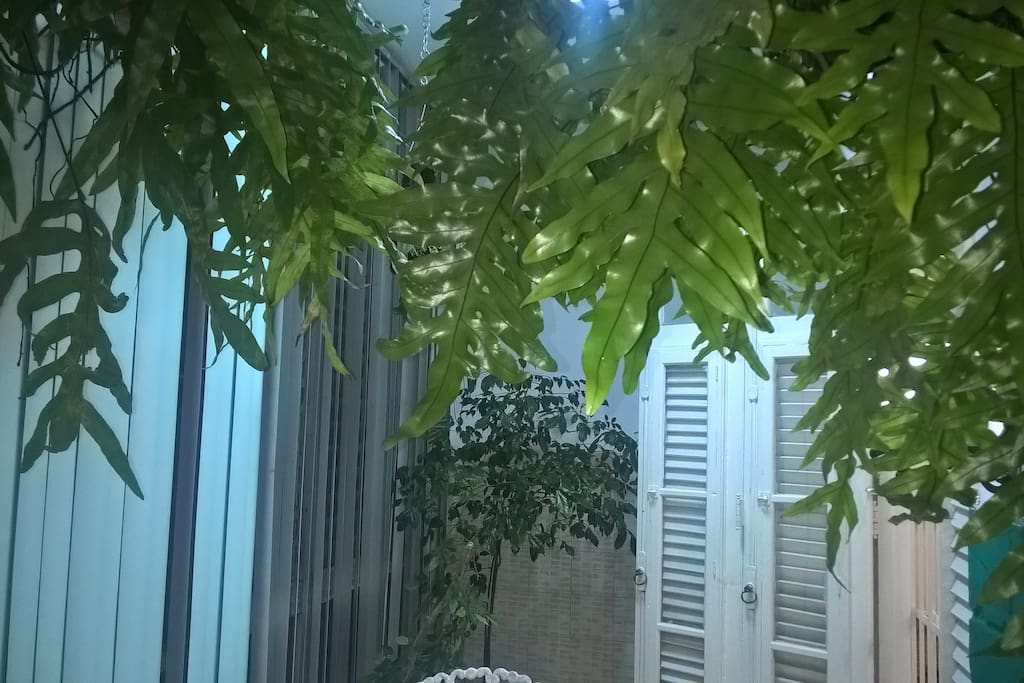 TERRAZA