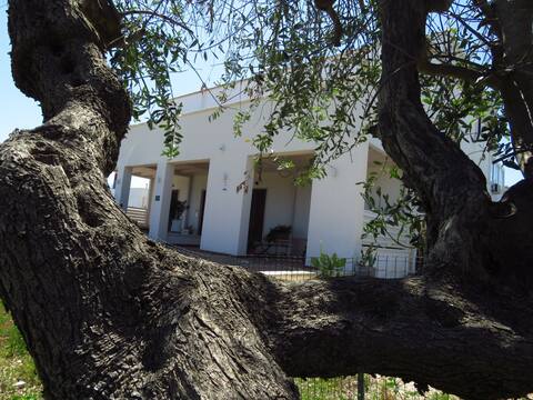 Cozze Alloggi E Case Vacanze Puglia Italia Airbnb