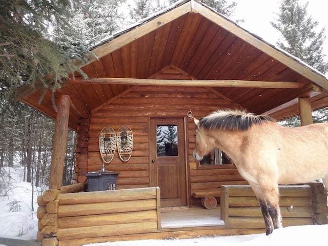 Trapper's Cabin with Lake View