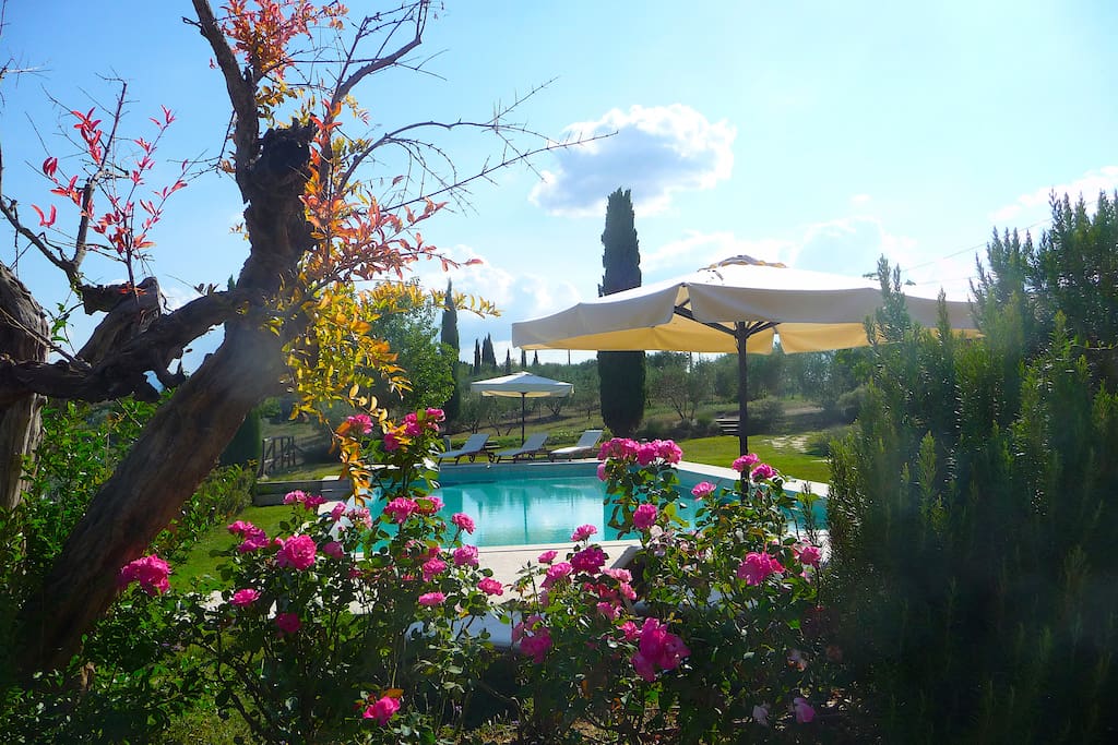Garden and infinity pool