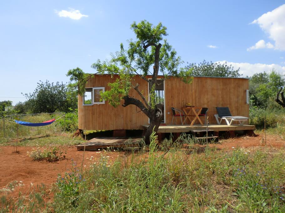 bildschönes und einzigartiges Häuschen aus Holz