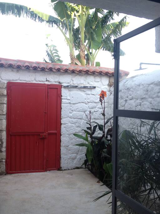 The courtyard