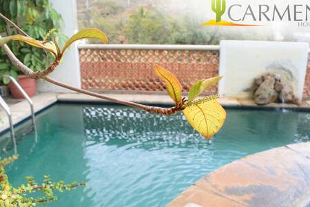 Departamento Estrella de Mar, 1 Recámara. CARMEN