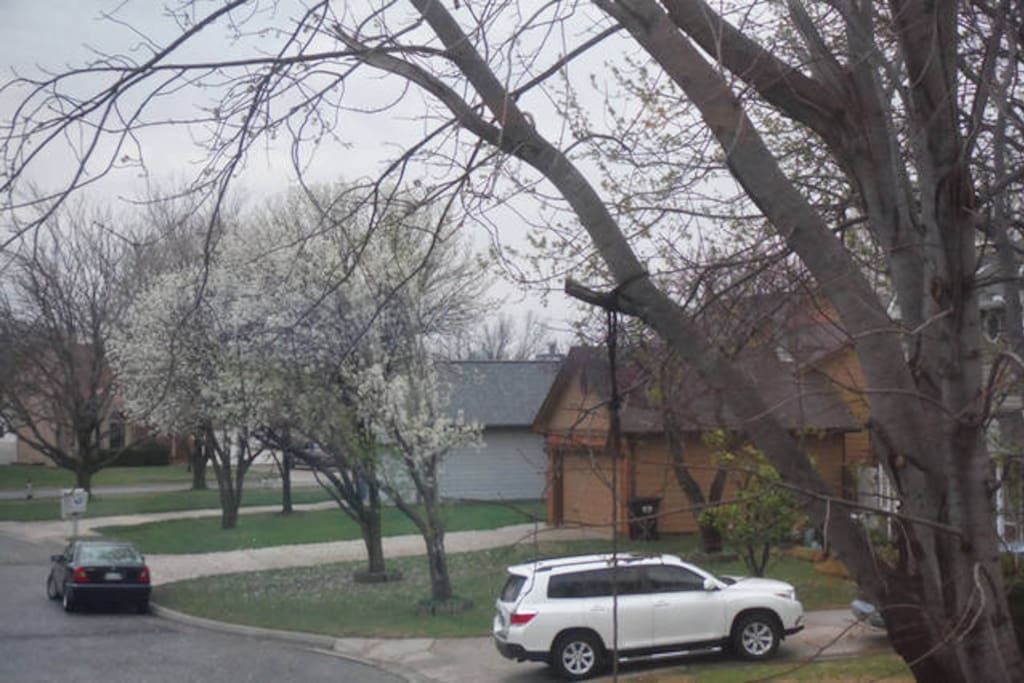 The neighborhood view from your picture window.