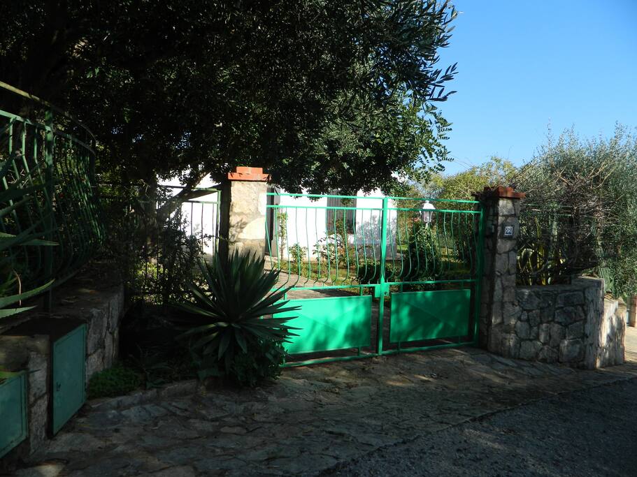 ingresso