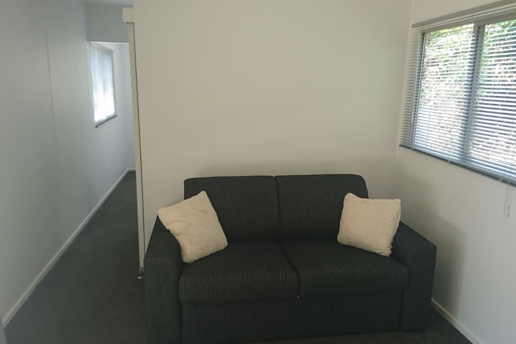 comfy fold out sofa