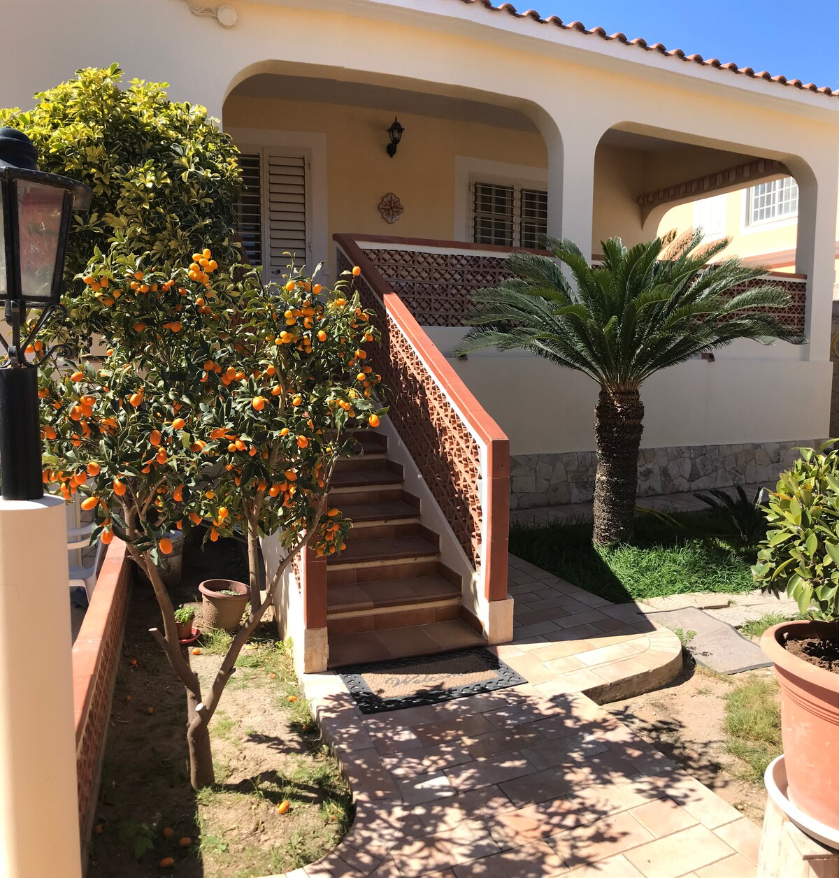 A welcoming entrance is framed by lush greenery, featuring a staircase leading to a covered porch. Citrus trees and palm plants are planted along the pathway, creating a vibrant outdoor setting. Warm sunlight casts gentle shadows on the tiled walkway.