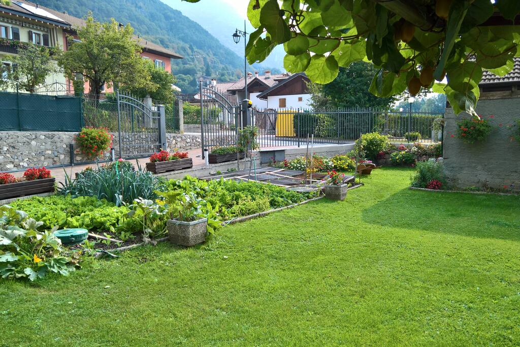 Il giardino comune con l'orto