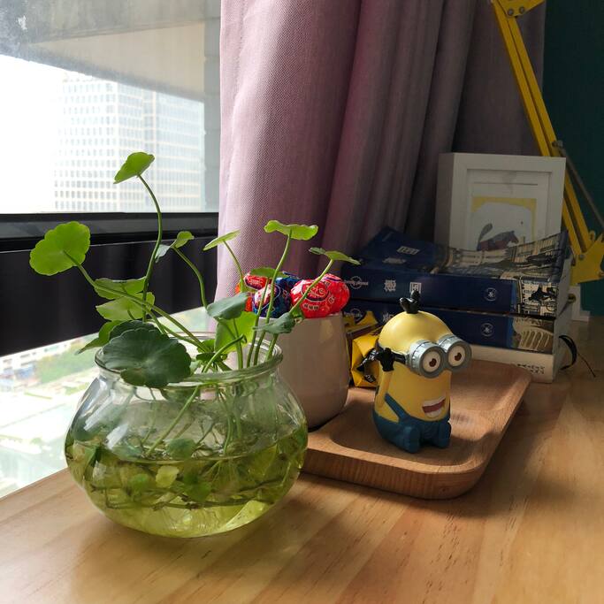 客厅:配备小零食糖果,还有小黄人的热烈欢迎~