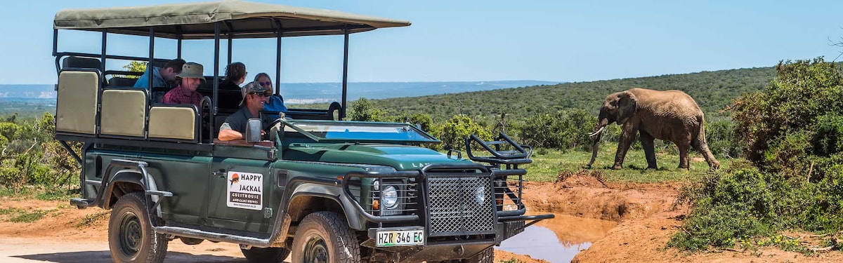A green, open-top safari vehicle displays six passengers observing an elephant in a natural landscape. The vehicle is designed for game-viewing, with cushioned seats and an unobstructed view. The surrounding terrain features varied green vegetation under a bright sky.
