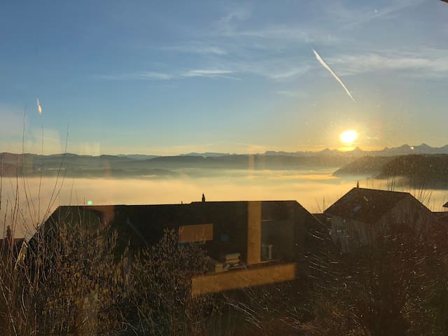 flat, garden, pool,  parking, views and nature.