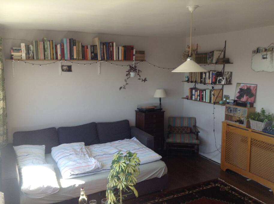 Guest room with sofa bed