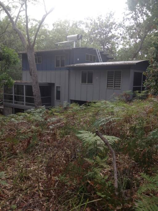 Here we are!! In the Banksia forest!!