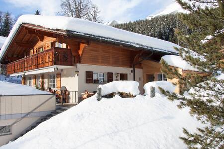 Chalet Hollandia, Studio mit einmaliger Aussicht