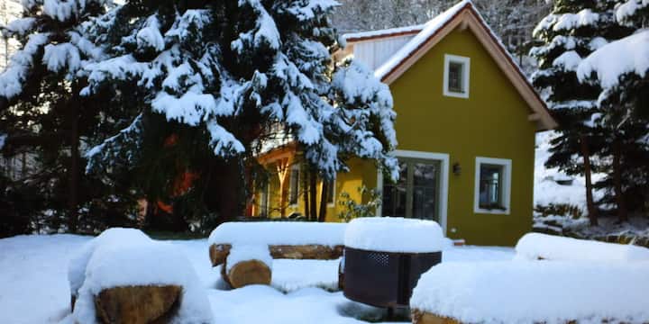 Idyllic holiday home "Waldhaus Bielatal"