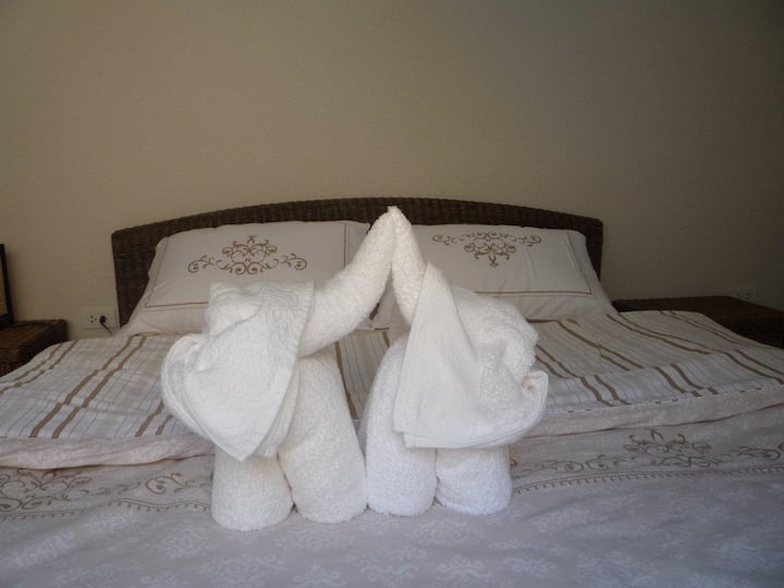 פילים בקו צ'אנג במיטה 