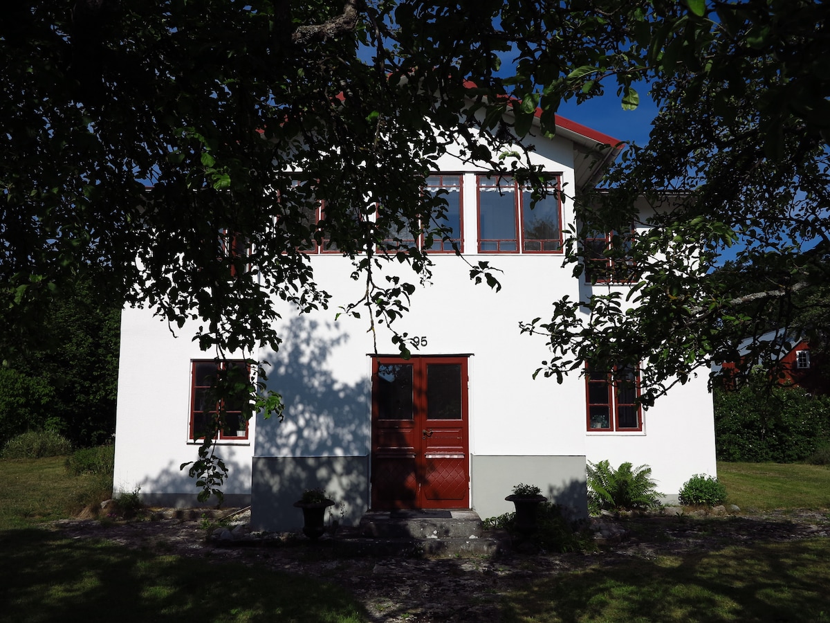 A two-story house is framed by leafy trees, highlighting its white exterior and red trim. The front door, painted a deep red, serves as a focal point. Large windows light the façade, offering a glimpse of the inviting surroundings and garden area.