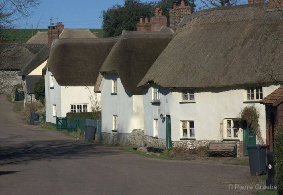 Gittisham village (Batts Cottage in distance)