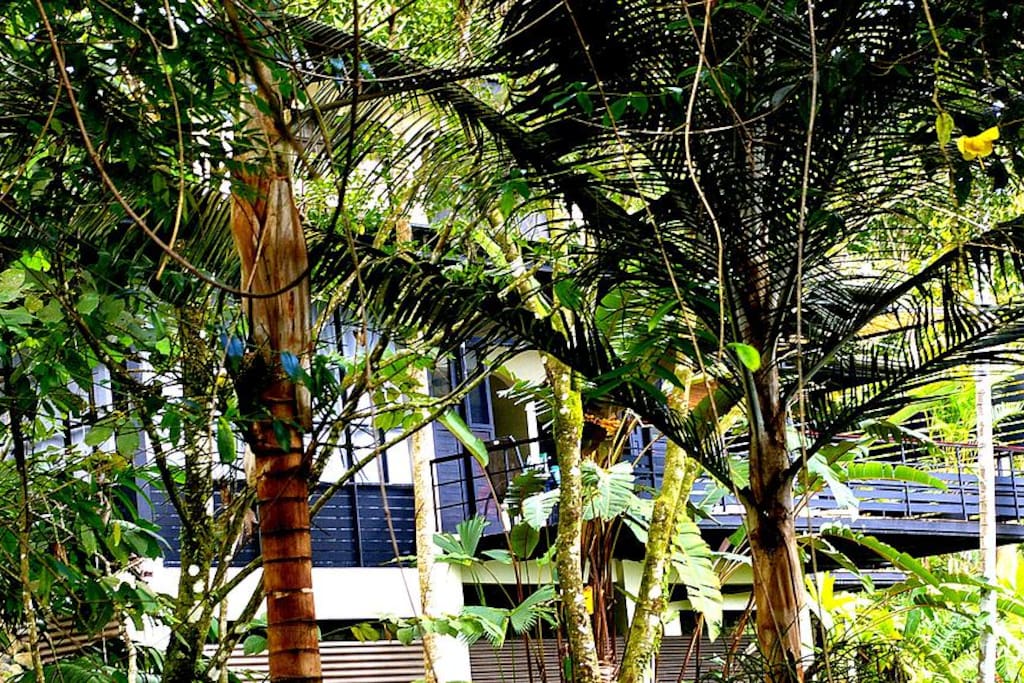 Modern award-winning sustainable architecture with privacy