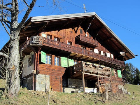 Cozy unique holiday chalet, summer and winter,