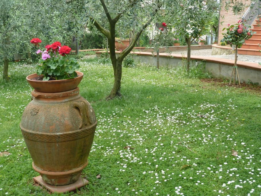 giardino di fronte alla villetta