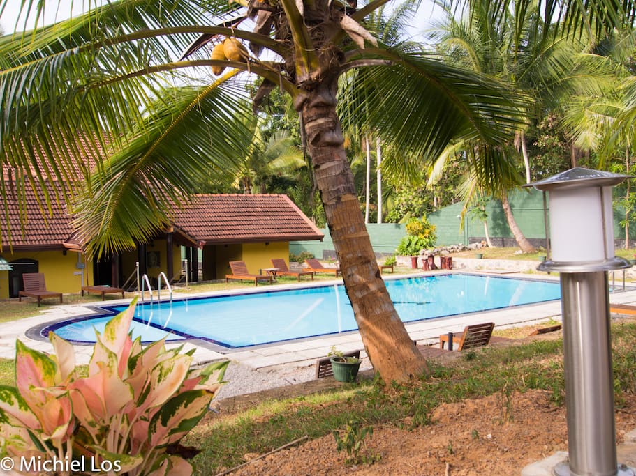Swimming pool