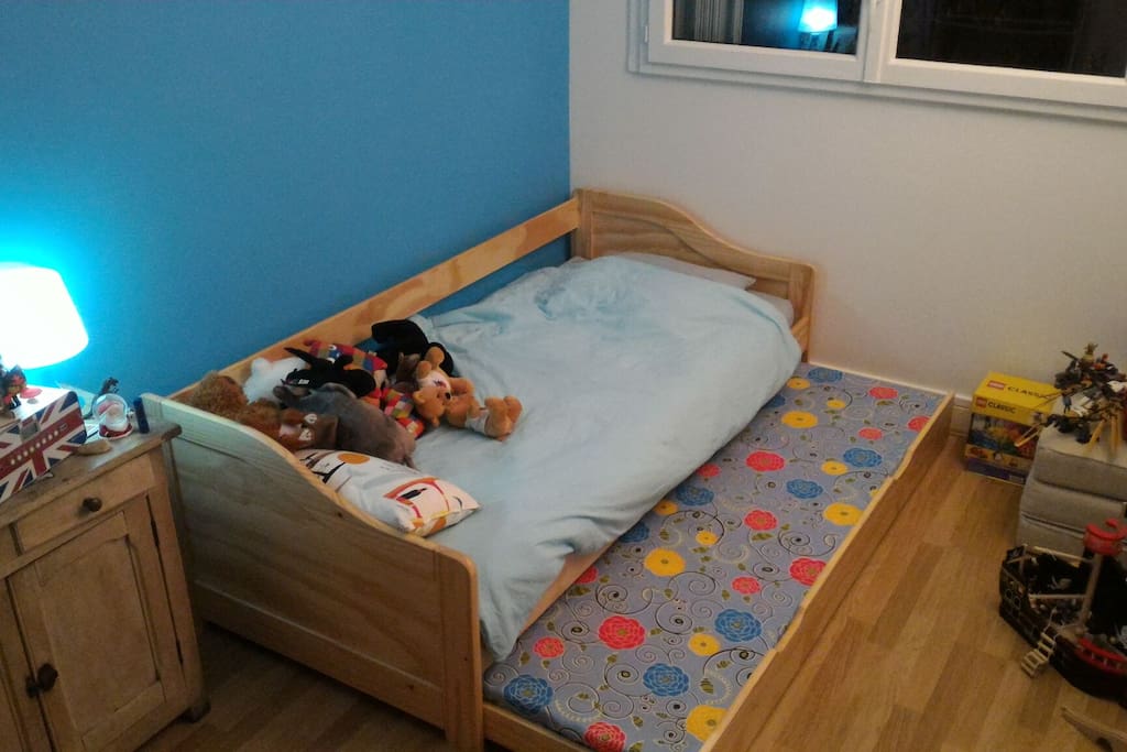 La chambre à louer : 2 lits simples / The room to rent : 2 simple beds