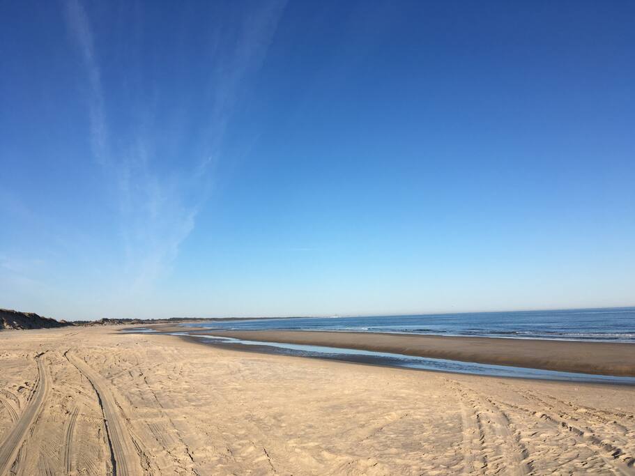 Tversted Strand - 600 meter fra Tversted B&B