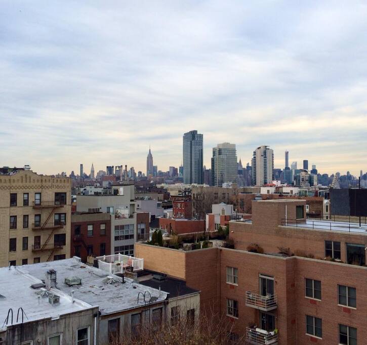 View from the roof
