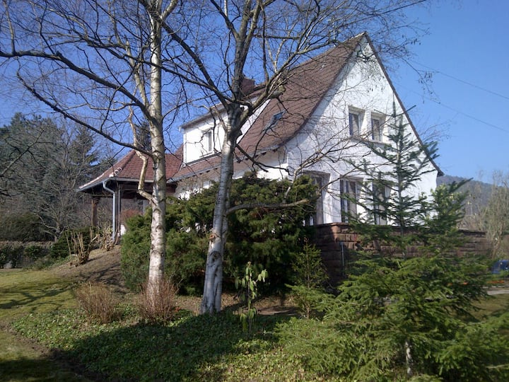 Charming house in Alsace – Riquewihr