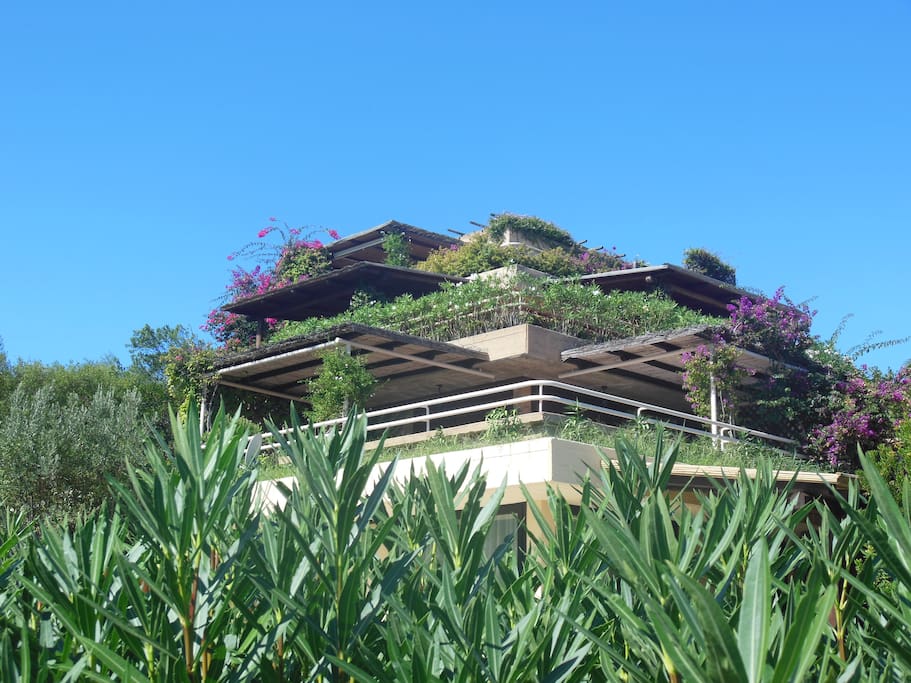 sono circondato dal verde - I am surrounded by nature