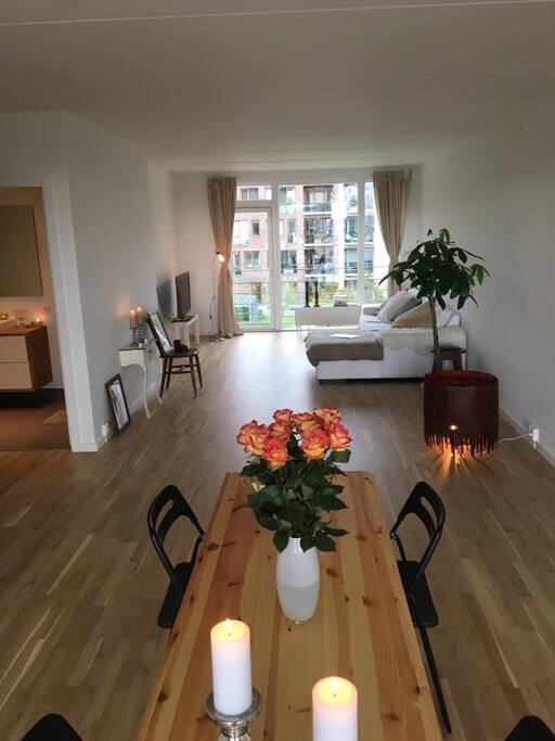 Dining room/Living room view