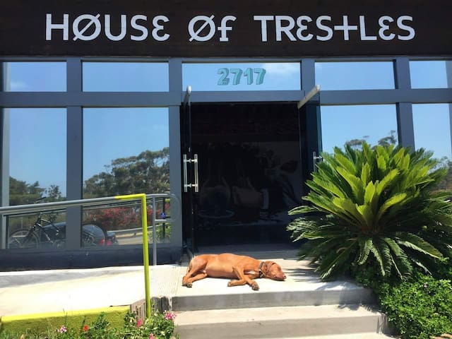 House of Trestles Private Bunk