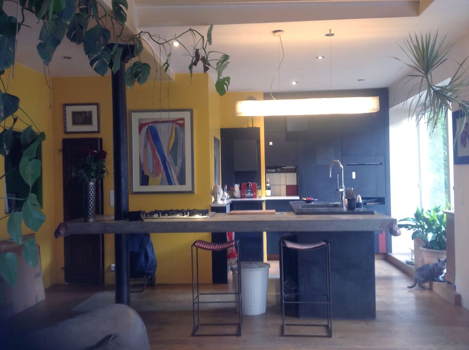 L'espace cuisine.