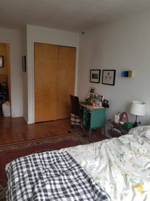 Closet/Desk Space
