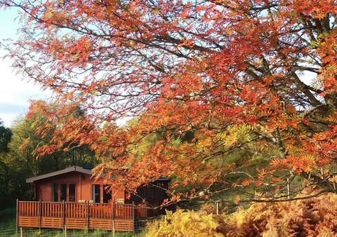 Glas Doire Lodge in Glen Roy Nature Reserve